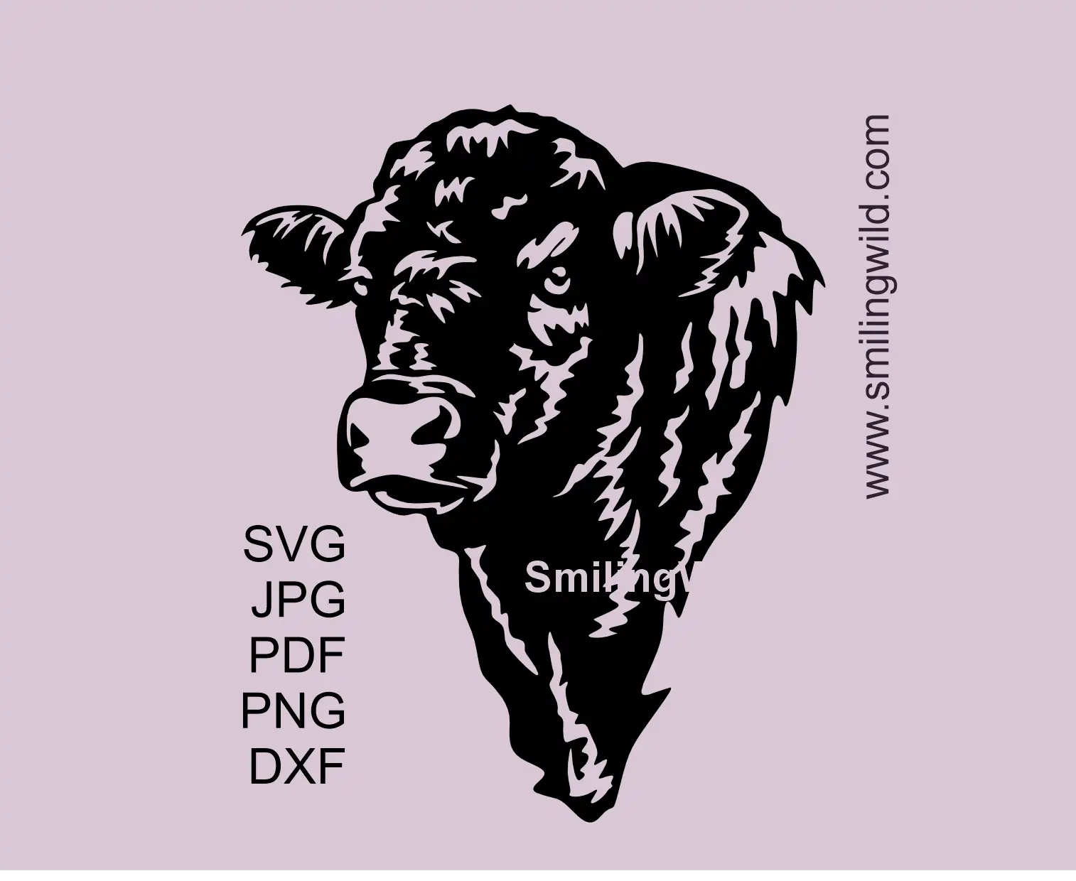 Black Galloway bull head clipart to present farm animal svg, png and dxf file set for cutting