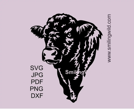 Black Galloway bull head clipart to present farm animal svg, png and dxf file set for cutting