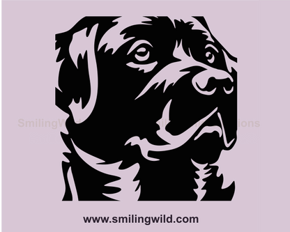 labrador retriever close up illustration