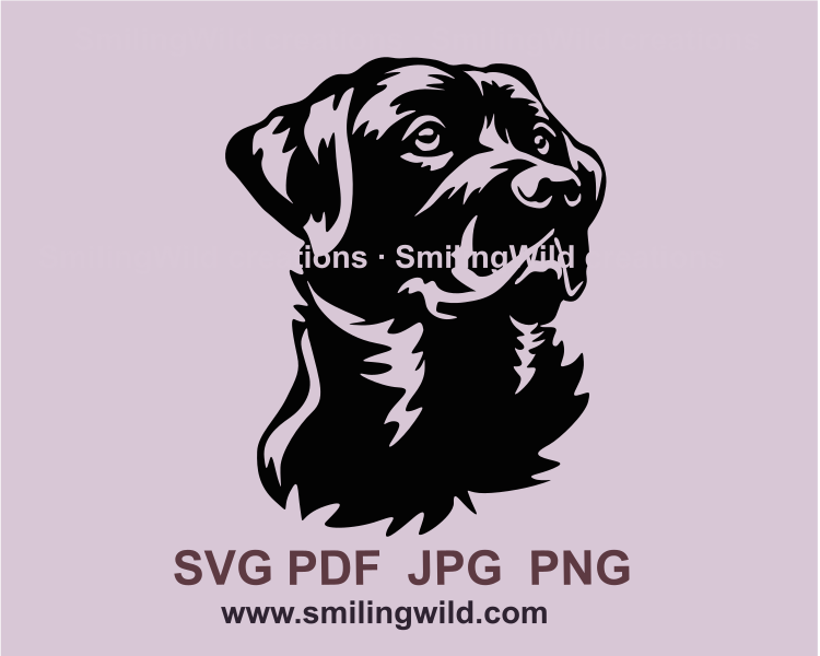 Black labrador retriever face in graphic art image