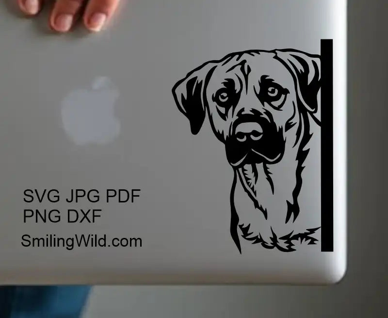 Preview of the svgand DXF and svg files included with the Black Mouth Cur Corner Peeking Dog Files set, showcasing the available files for laser cutting and engraving.