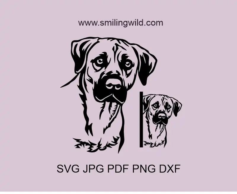 Black Mouth Cur SVG, DXF and png vector image of a Corner Peeking Dog Clipart. Dog graphic optimized for Cricut and laser cutting