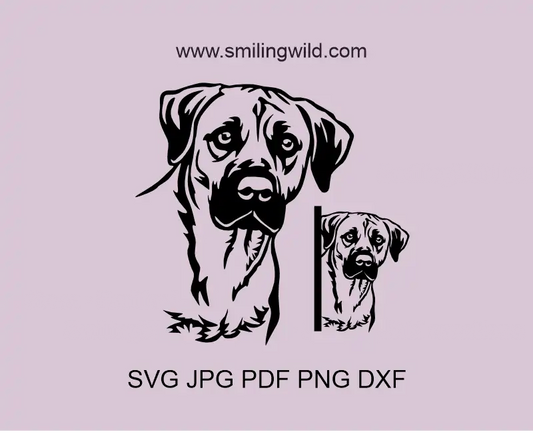 Black Mouth Cur SVG, DXF and png vector image of a Corner Peeking Dog Clipart. Dog graphic optimized for Cricut and laser cutting