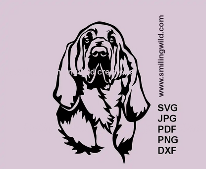 Realistic noble Bloodhound dog face SVG portrait in black vector line art
