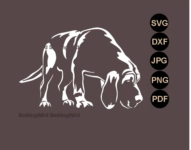 White Design for scent tracking Bloodhound SVG white vector art  showing a detailed, full body hunting dog clipart