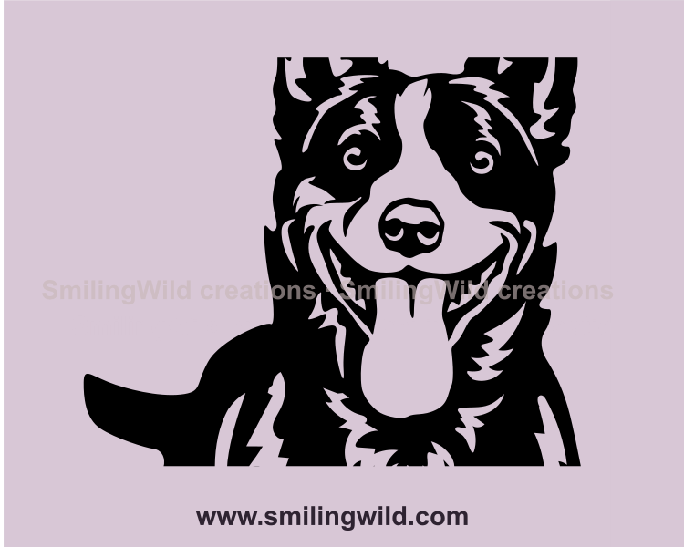 smiling australian cattle dog face - close up graphic drawing