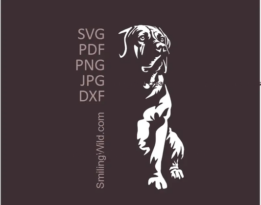 White sitting Boerboel dog vector SVG portrait  for decal and Cricut cutting file.
