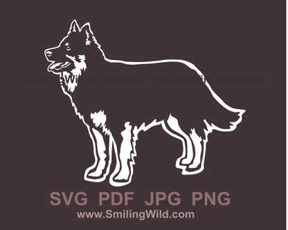 bohemian shepherd full body digital design in white color