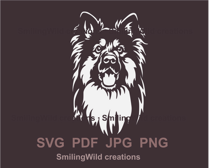 smiling bohemian shepherd svg portrait in white color
