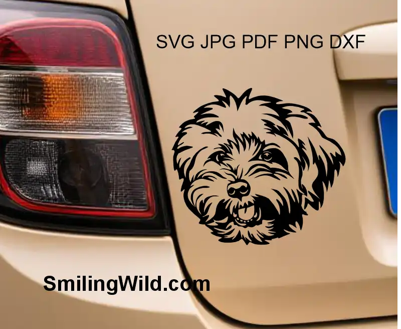 A car decal of Bolonka Zwetna dog face cut file SVG  digital graphic for crafting and engraving