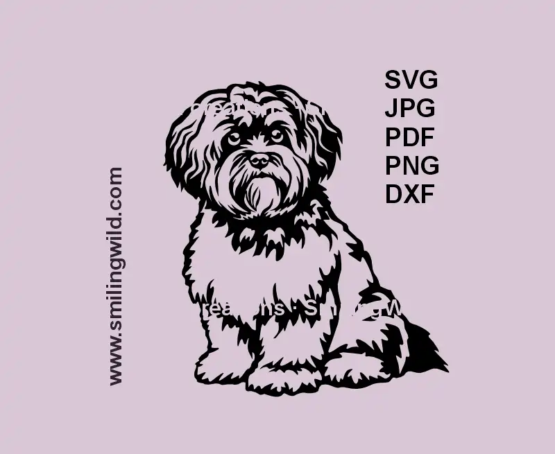 Realistic sitting Bolonka Zwetna dog black SVG clipart for Cricut and laser engraving.