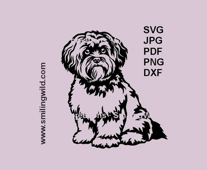 Realistic sitting Bolonka Zwetna dog black SVG clipart for Cricut and laser engraving.