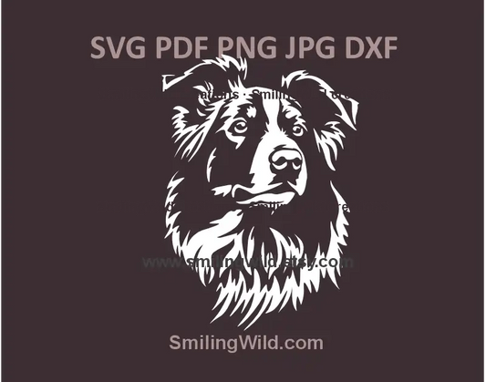 Border Collie dog SVG, png vector head portrait for Cricut and Laser Cutting projects
