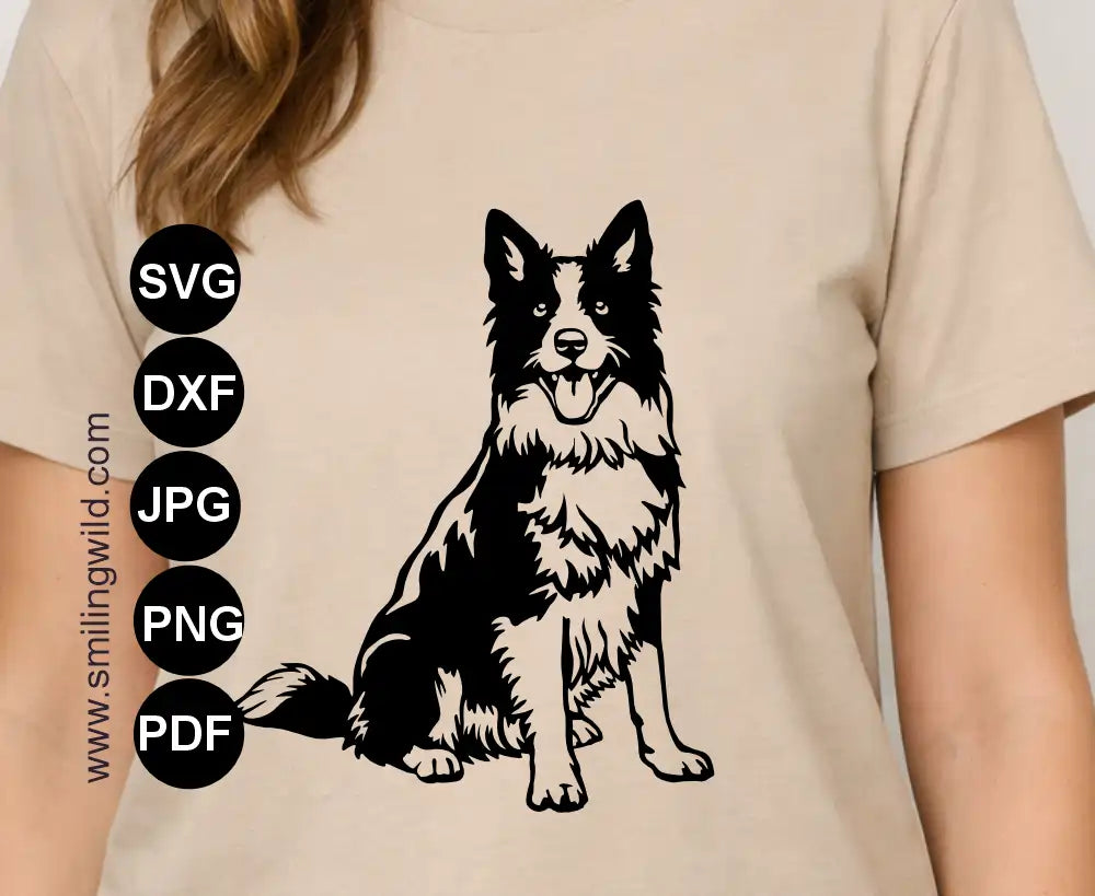 Sitting Detailed Border Collie PNG realistic digital drawing optimized for smooth cutting and engraving