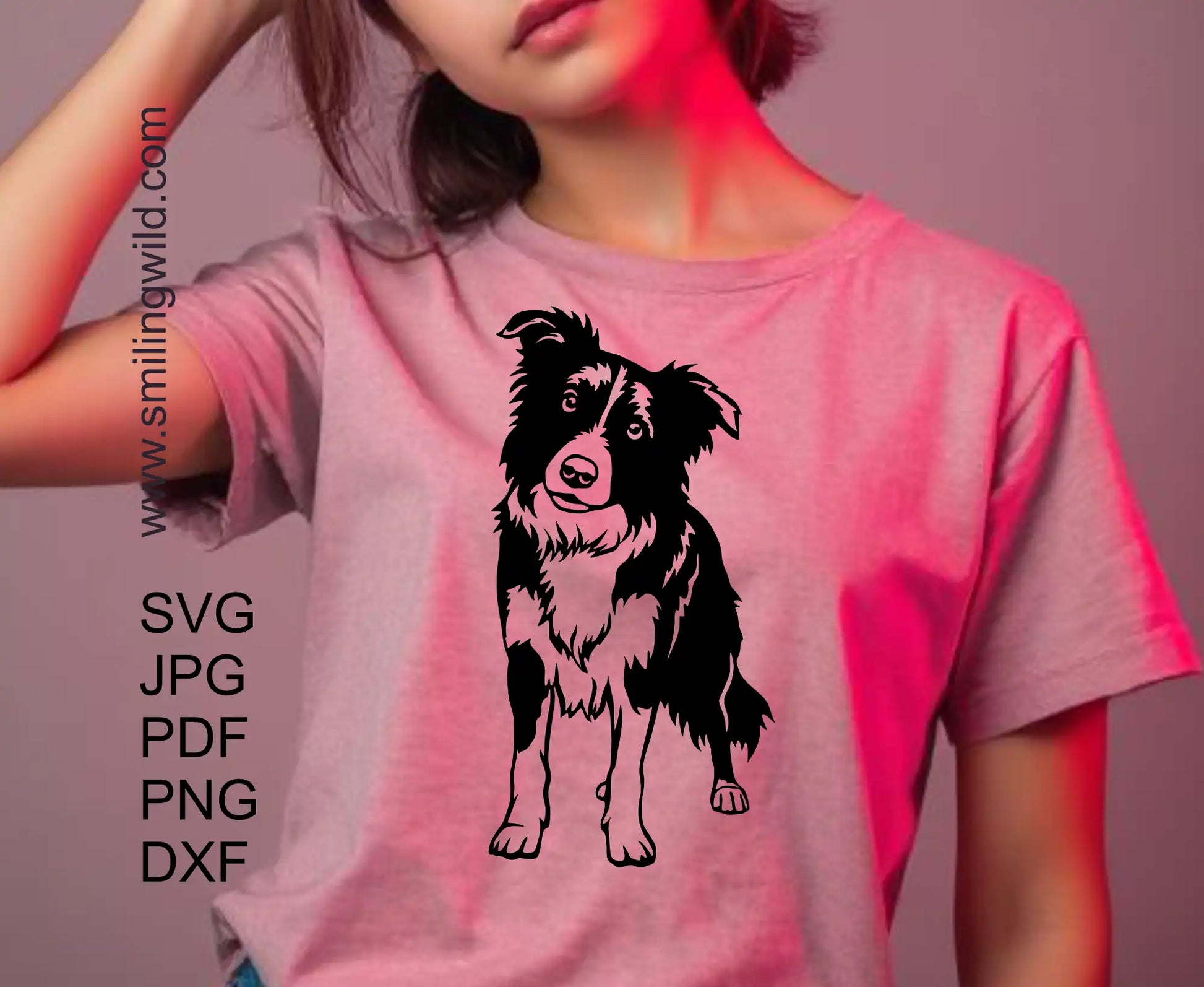 Full body Border Collie DXF cutting file imageshowing a standing dog