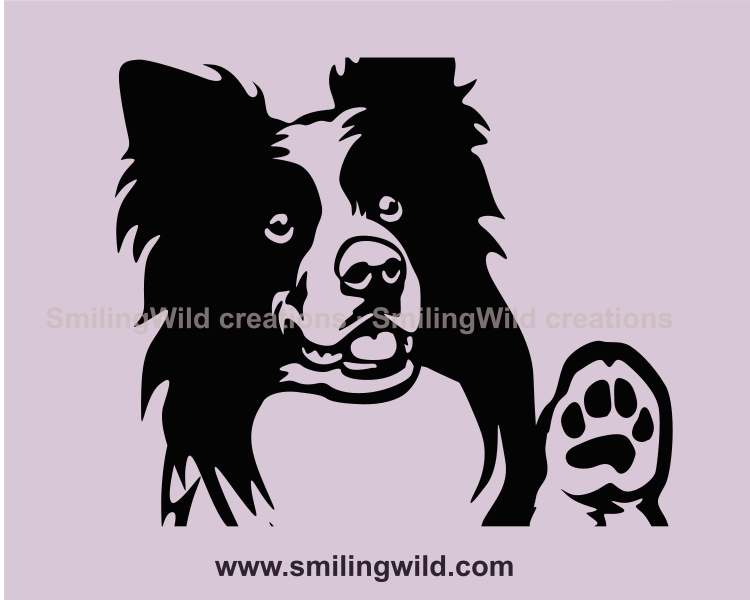 border collie with raised paw smiling face