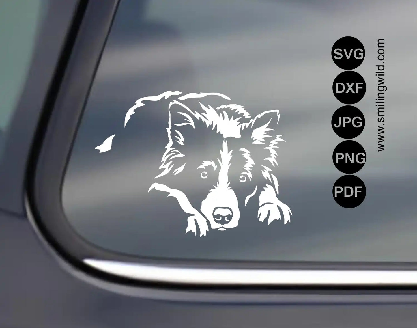 Herding dog clipart featuring a Border Collie in a lying pose, optimized for DXF and PNG formats.