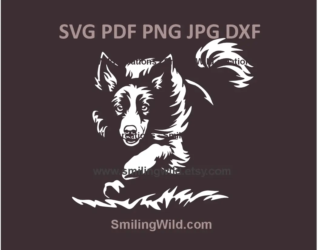 SVG vector image of a running Border Collie in black and white line art style