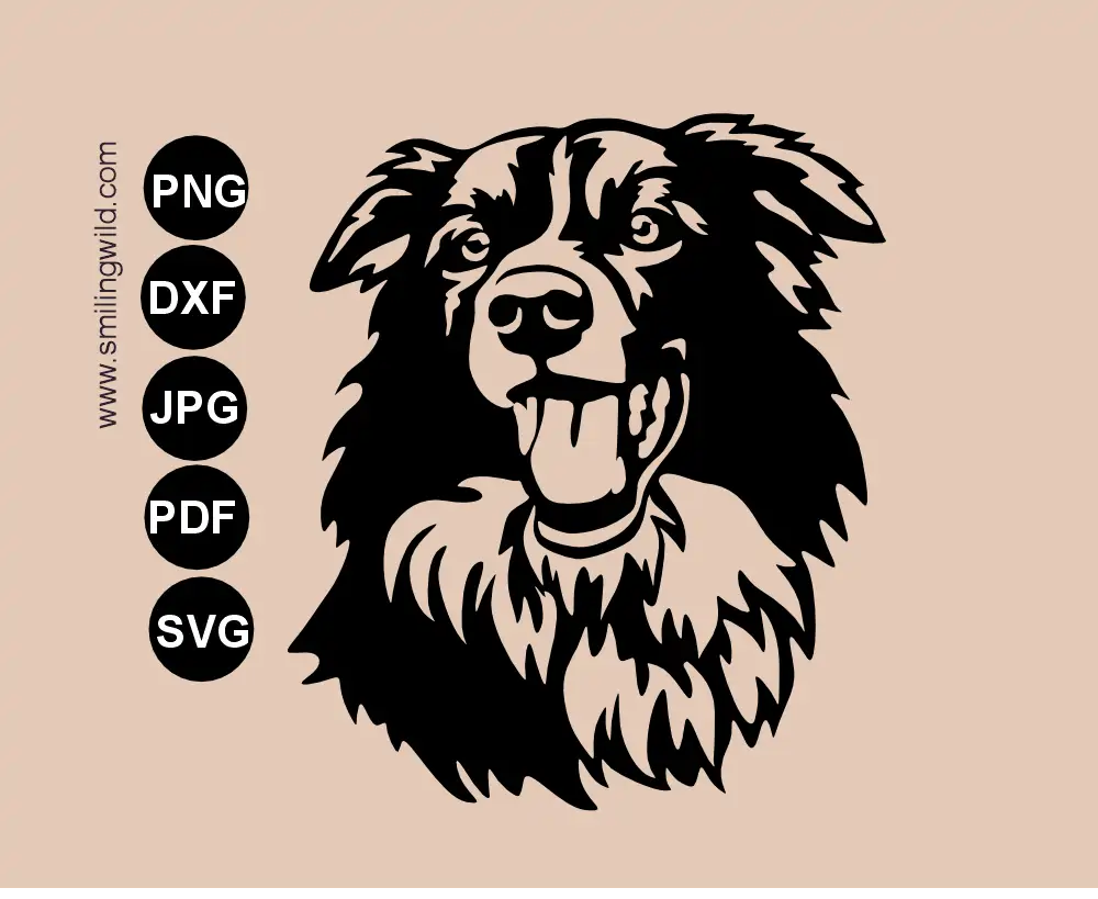 Border collie smiling alert face with open mouth vector graphic drawing in SVG, png and dxf file clipart for cutting