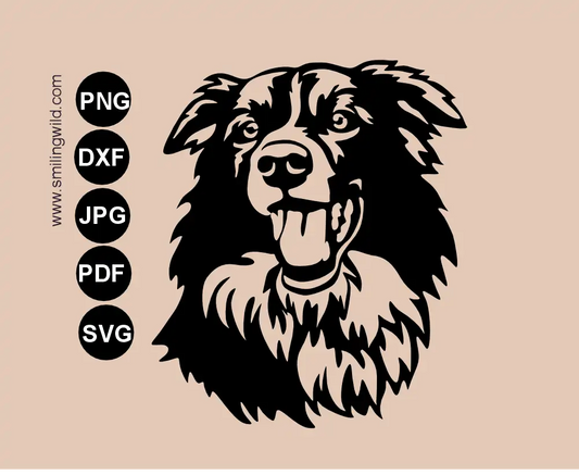 Border collie smiling alert face with open mouth vector graphic drawing in SVG, png and dxf file clipart for cutting