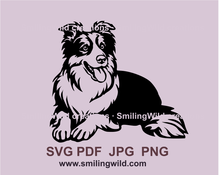 Cuttable Vector Image Border Collie Cuttable Design Cut File Vector Clipart Border Collie