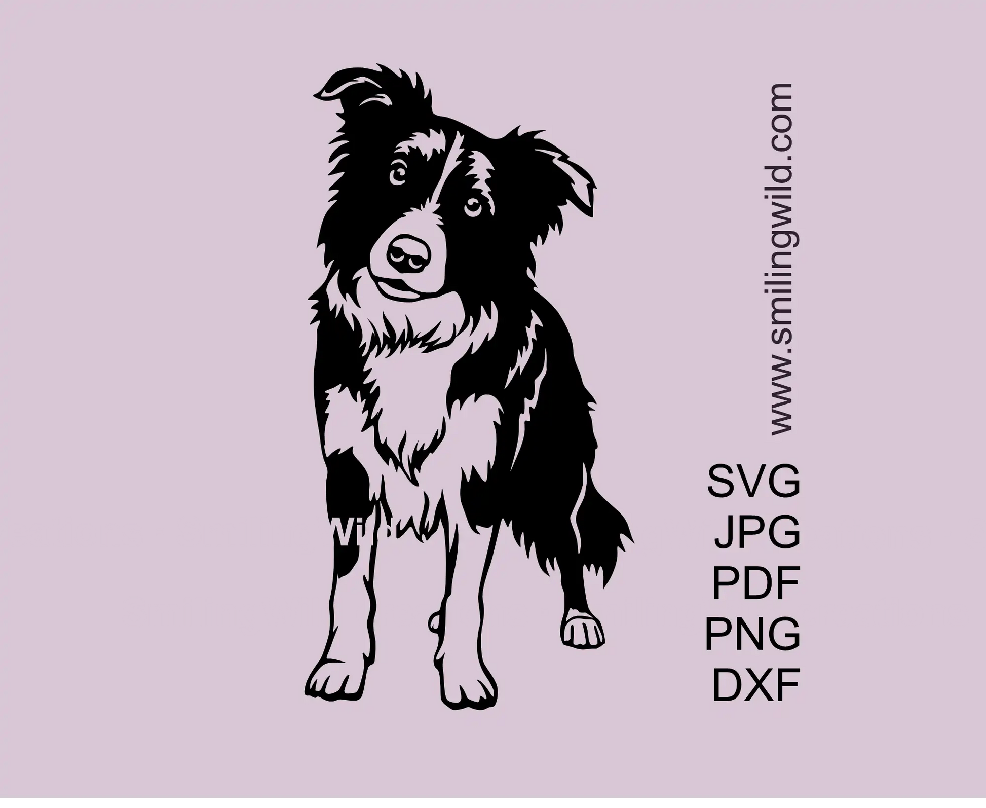 Border Collie SVG clipart vector cut file design preview of a full body dog illustration