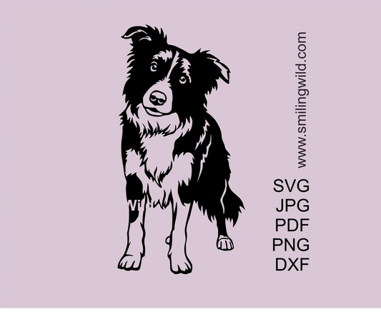 Border Collie SVG clipart vector cut file design preview of a full body dog illustration