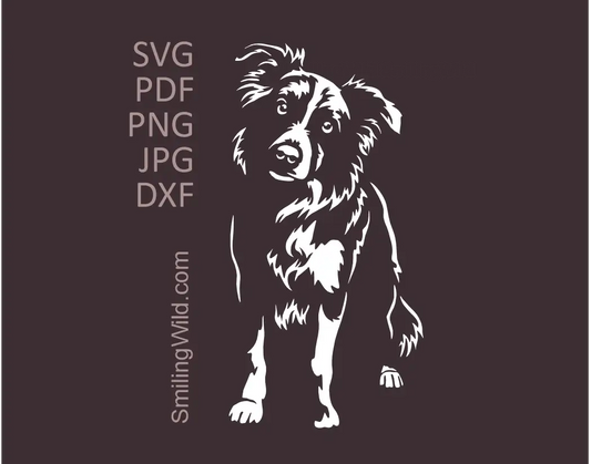 Border Collie standing dog white SVG clipart of full-body dog vector art preview