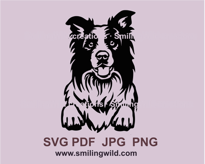 Peeking border collie with paws on table edge in black graphic art