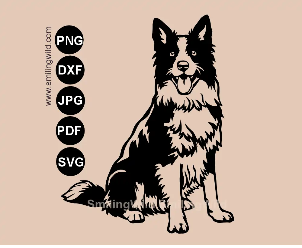 Border Collie sVG and PNG vector clipart with joined details for CNC and laser