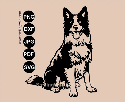 Border Collie sVG and PNG vector clipart with joined details for CNC and laser