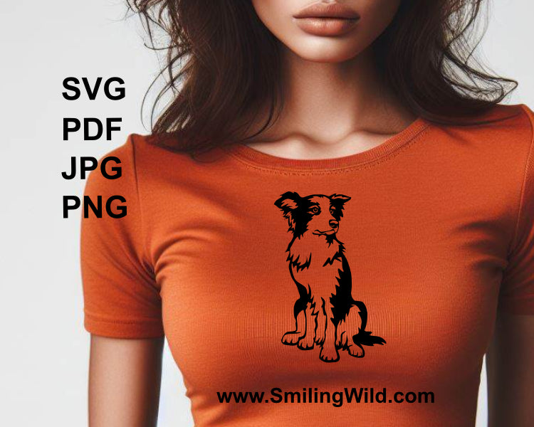 sitting border collie printed in black color on a t shirt