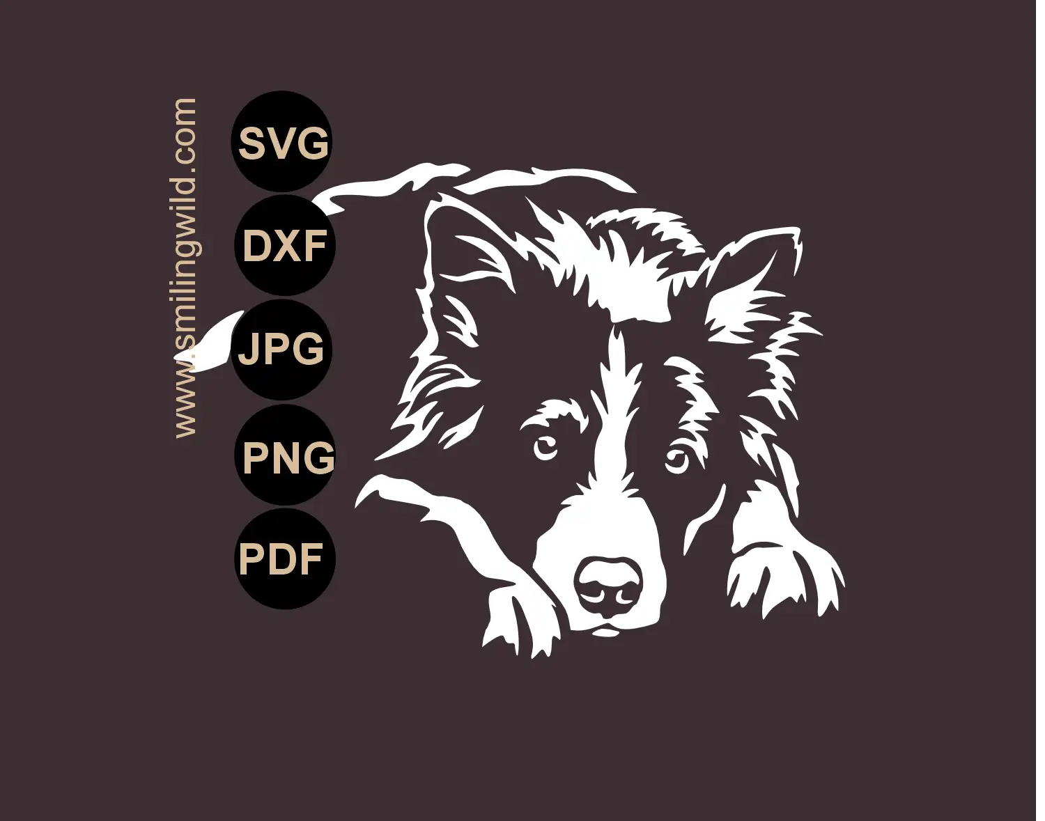 Border Collie SVG main preview showing a white professional lying dog vector image for cutting machines and digital download.
