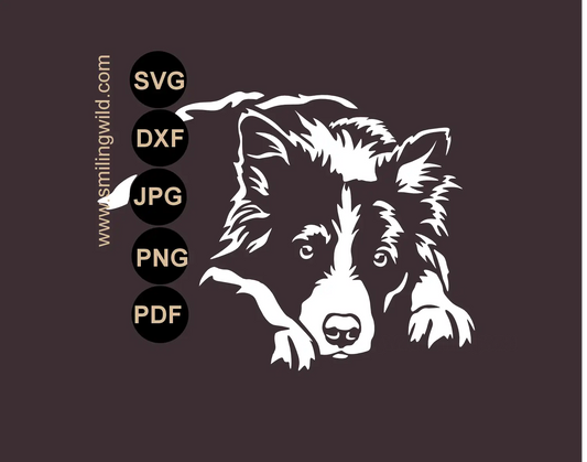 Border Collie SVG main preview showing a white professional lying dog vector image for cutting machines and digital download.