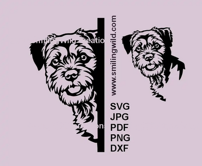 Realistic Border Terrier dog looking around the corner vector clipart – SVG, PNG & DXF digital design for Cricut and laser cutting