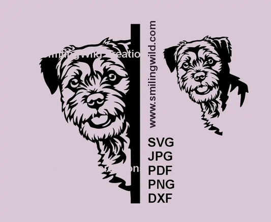 Realistic Border Terrier dog looking around the corner vector clipart – SVG, PNG & DXF digital design for Cricut and laser cutting
