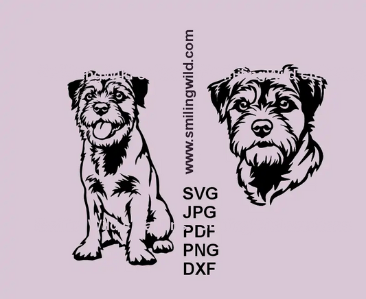A head and Full body Border Terrier black vector graphic for laser and Cricut