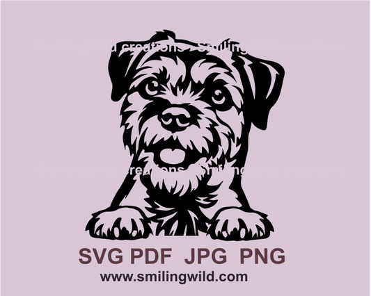 Border terrier face design made in a black vector line art