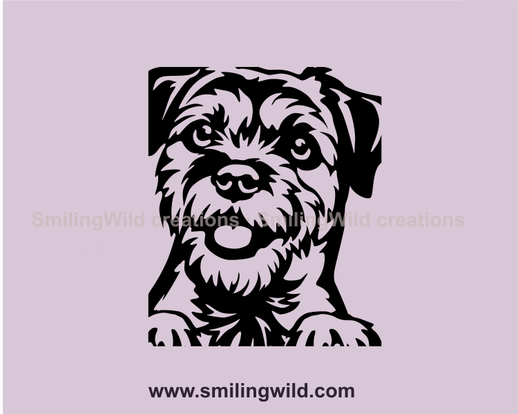 Border terrier graphic portrait