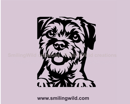 Border terrier graphic portrait