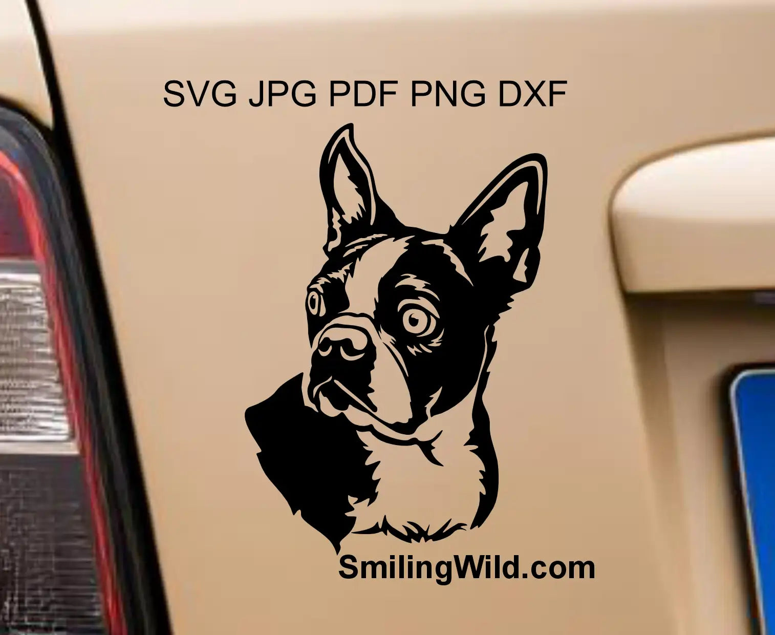 Boston terrier dog png vector grpahic design displayed  on a car