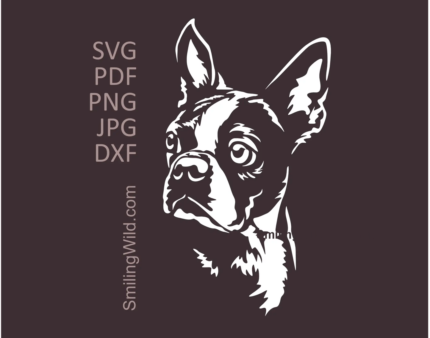 Boston Terrier head portrait in svg, png and dxf clipart design shown in white artwork version