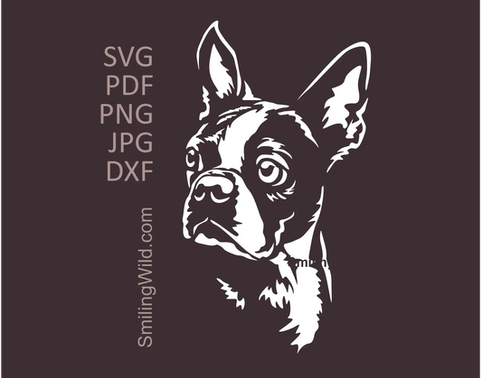 Boston Terrier head portrait in svg, png and dxf clipart design shown in white artwork version