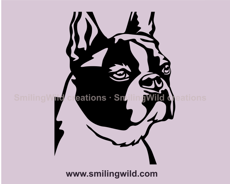 boston terrier face in black graphic