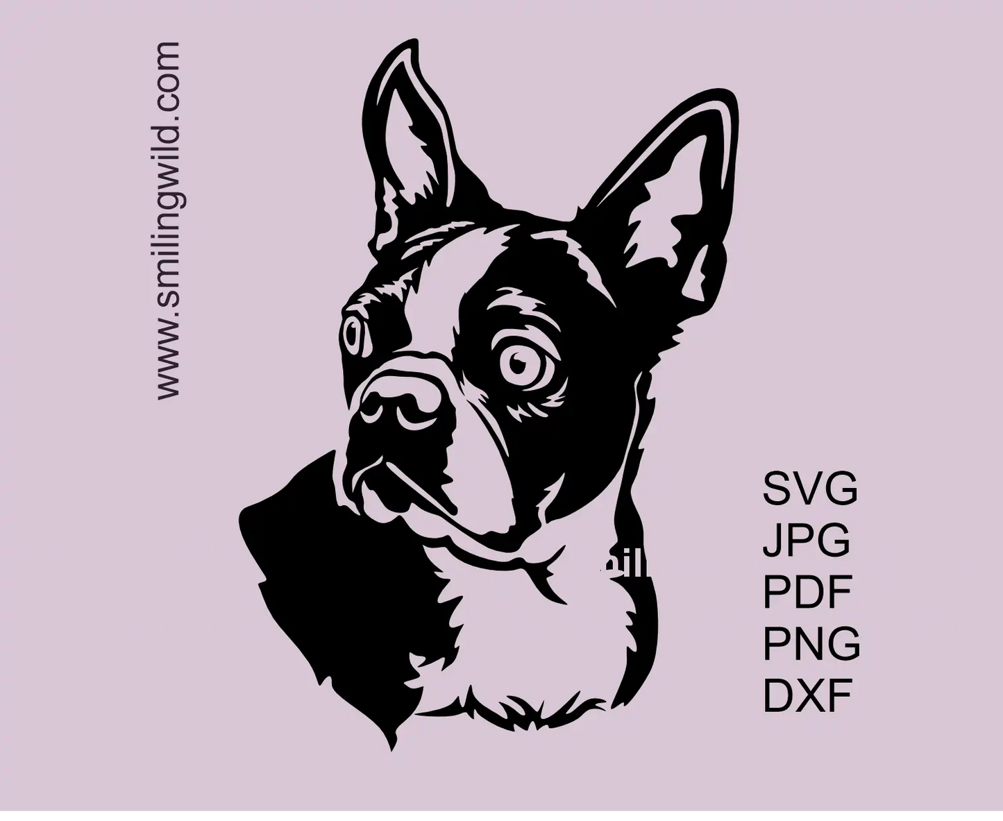 Boston terrier SVG head Clipart Design showcasing a dog head with curious expression.