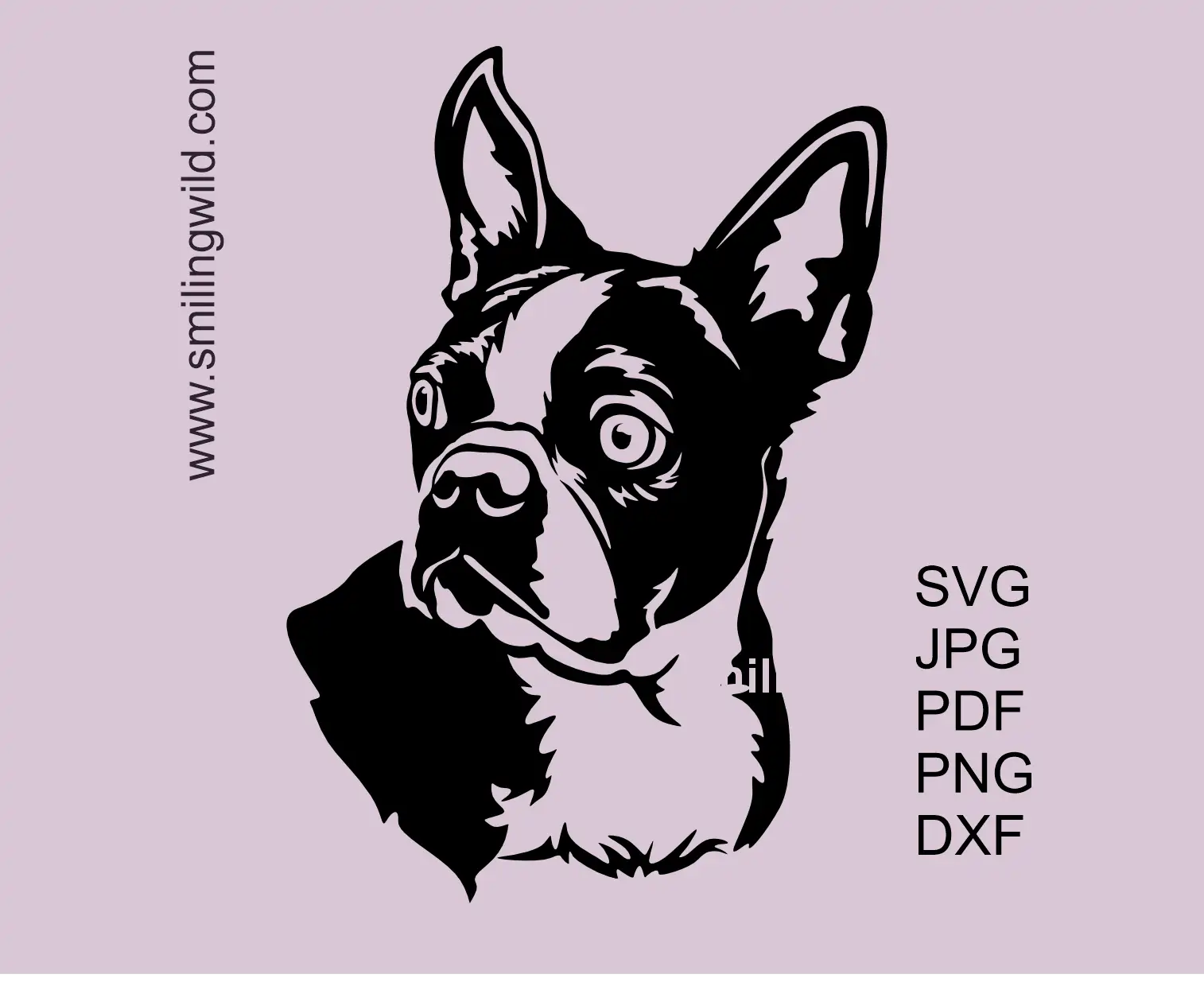 Boston terrier SVG head Clipart Design showcasing a dog head with curious expression.