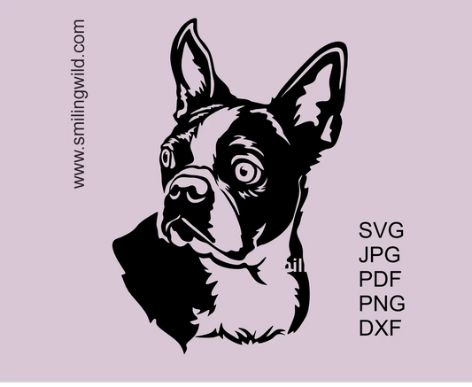 Boston terrier SVG head Clipart Design showcasing a dog head with curious expression.