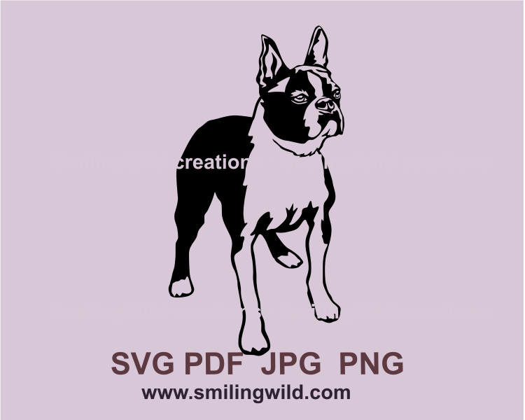 Boston terrier if black graphic art is standing and looking into the blue