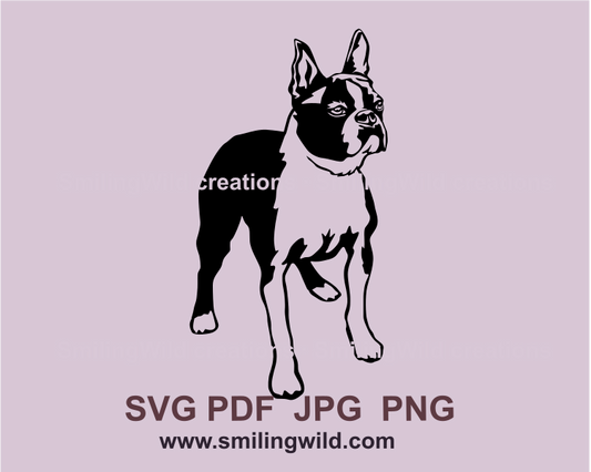 Boston terrier if black graphic art is standing and looking into the blue