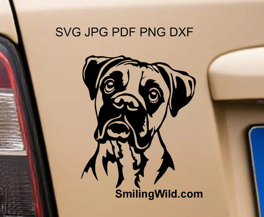 boxer dog frontal face view - a preview image of a png and SVG graphic cutting clipart